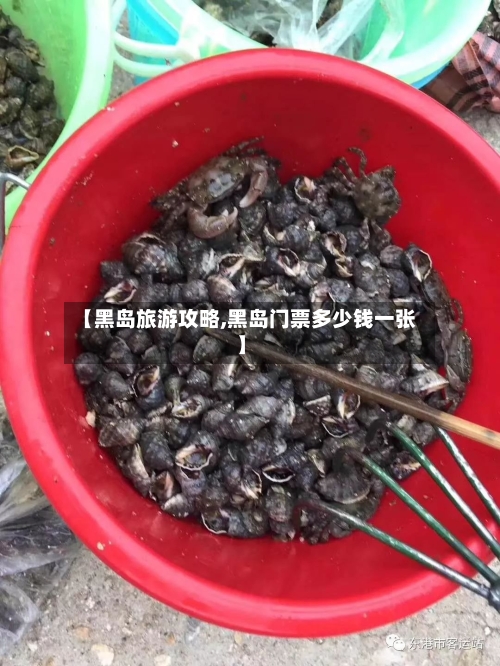 【黑岛旅游攻略,黑岛门票多少钱一张】-第3张图片