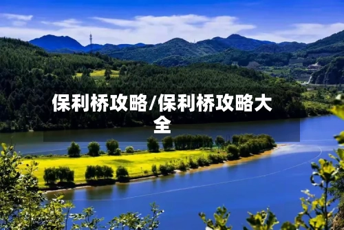 保利桥攻略/保利桥攻略大全-第3张图片