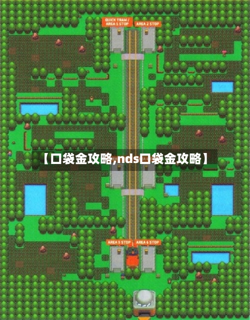 【口袋金攻略,nds口袋金攻略】
