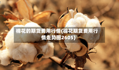 棉花的期货费用行情(棉花期货费用行情走势图2605)