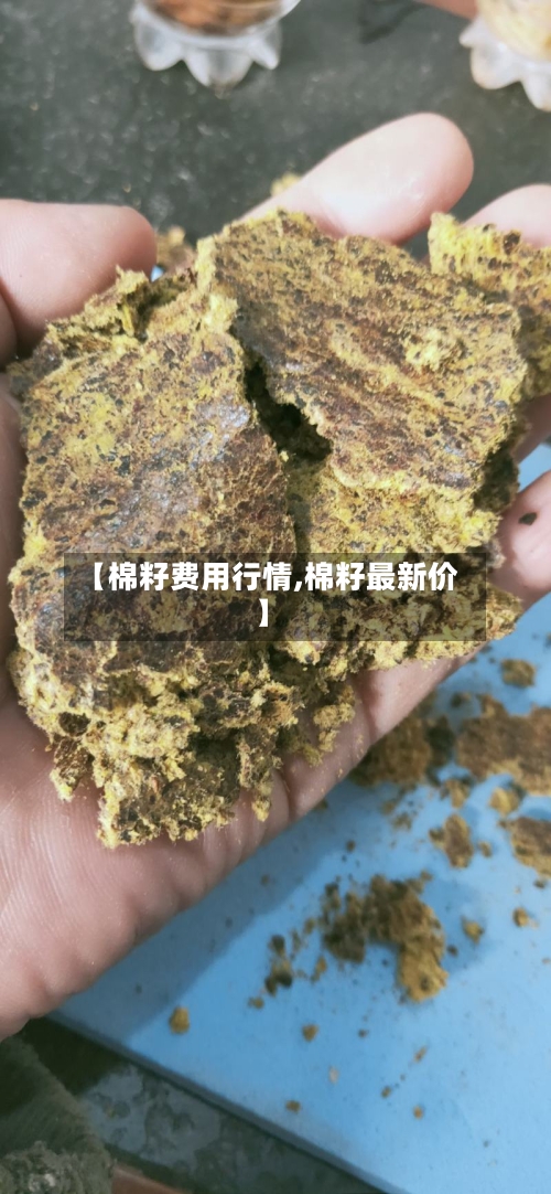 【棉籽费用行情,棉籽最新价】-第2张图片