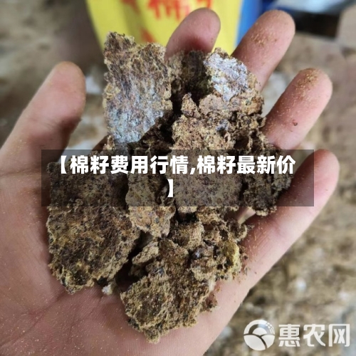 【棉籽费用行情,棉籽最新价】