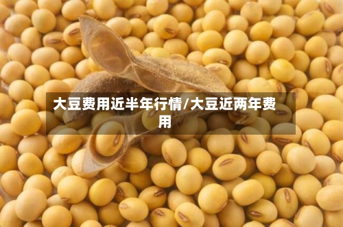 大豆费用近半年行情/大豆近两年费用-第3张图片