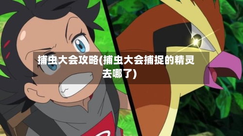 捕虫大会攻略(捕虫大会捕捉的精灵去哪了)