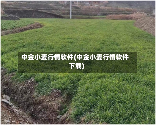 中金小麦行情软件(中金小麦行情软件下载)