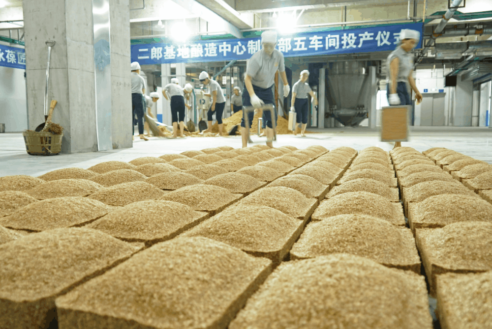 中金小麦行情软件(中金小麦行情软件下载)-第2张图片