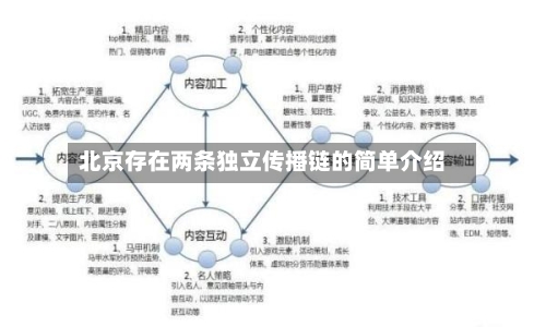 北京存在两条独立传播链的简单介绍-第2张图片