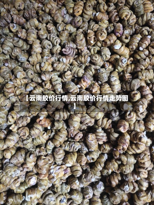 【云南胶价行情,云南胶价行情走势图】-第3张图片