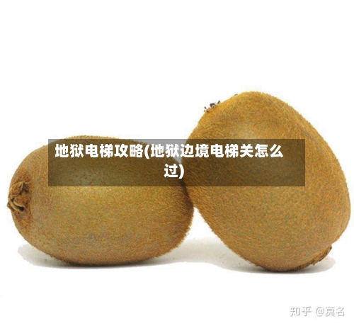 地狱电梯攻略(地狱边境电梯关怎么过)-第2张图片