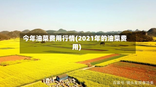 今年油菜费用行情(2021年的油菜费用)-第2张图片