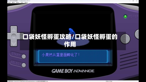口袋妖怪孵蛋攻略/口袋妖怪孵蛋的作用-第2张图片