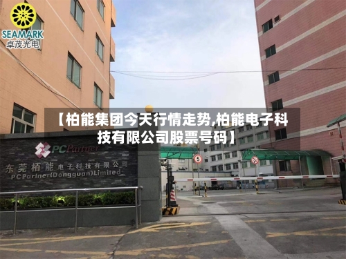 【柏能集团今天行情走势,柏能电子科技有限公司股票号码】-第2张图片