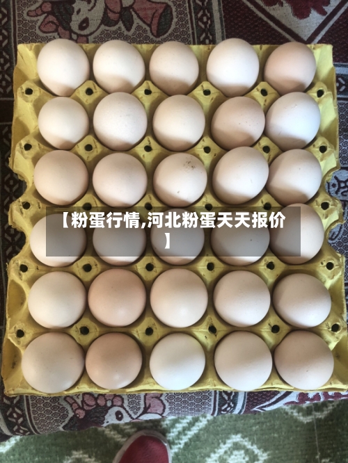 【粉蛋行情,河北粉蛋天天报价】