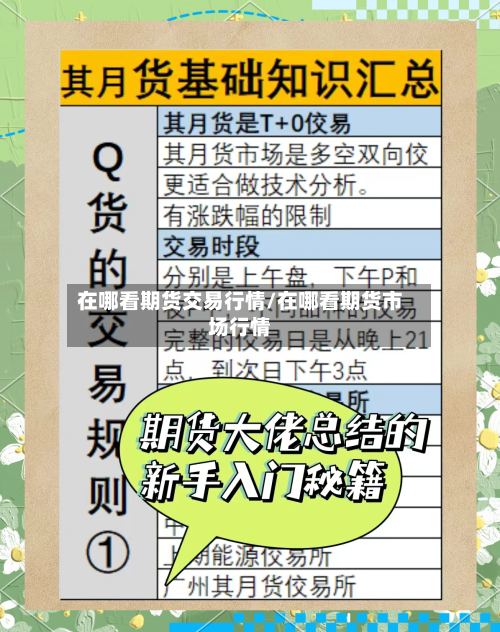 在哪看期货交易行情/在哪看期货市场行情
