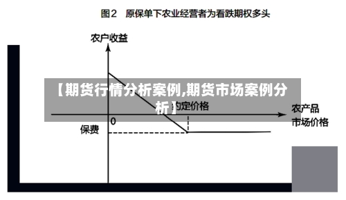【期货行情分析案例,期货市场案例分析】