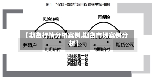 【期货行情分析案例,期货市场案例分析】-第2张图片