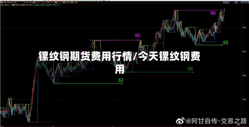 镙纹钢期货费用行情/今天镙纹钢费用-第2张图片