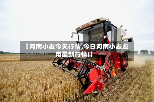 【河南小麦今天行情,今日河南小麦费用最新行情l】-第2张图片