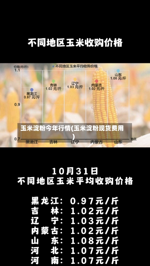 玉米淀粉今年行情(玉米淀粉现货费用)-第2张图片
