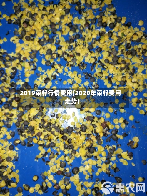 2019菜籽行情费用(2020年菜籽费用走势)-第3张图片