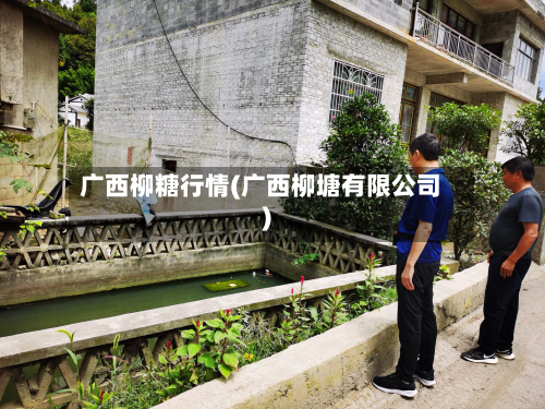 广西柳糖行情(广西柳塘有限公司)-第3张图片