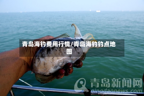 青岛海钓费用行情/青岛海钓钓点地图-第3张图片