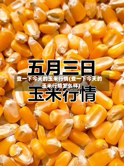查一下今天的玉米行情(查一下今天的玉米行情怎么样)-第2张图片