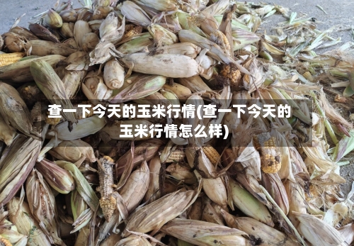 查一下今天的玉米行情(查一下今天的玉米行情怎么样)-第1张图片