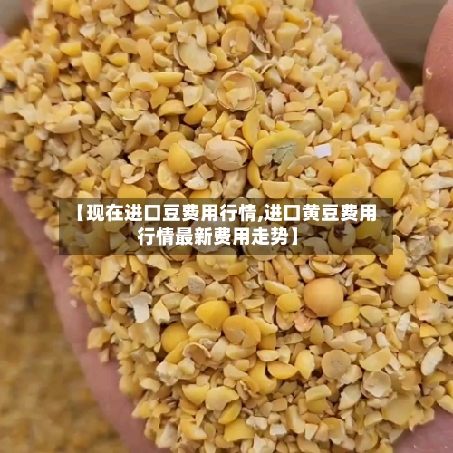 【现在进口豆费用行情,进口黄豆费用行情最新费用走势】