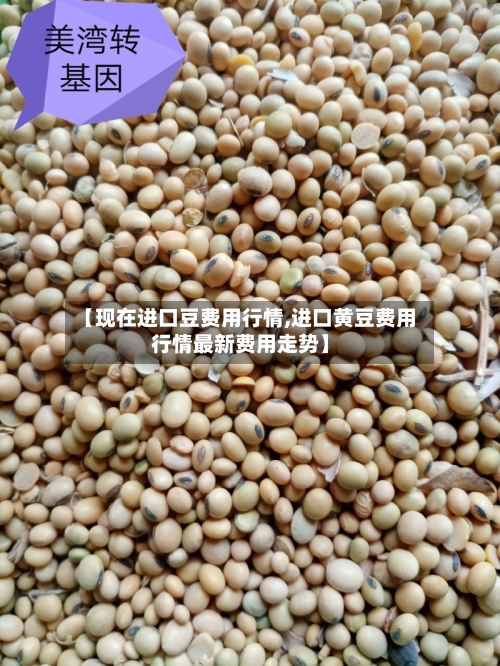 【现在进口豆费用行情,进口黄豆费用行情最新费用走势】-第2张图片