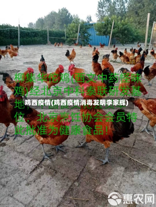 鸡西疫情(鸡西疫情消毒发明李家辉)