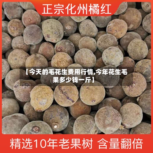 【今天的毛花生费用行情,今年花生毛果多少钱一斤】-第3张图片