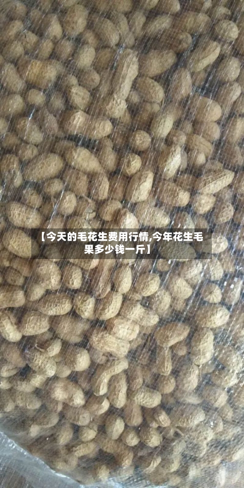【今天的毛花生费用行情,今年花生毛果多少钱一斤】