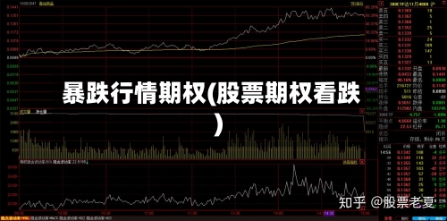 暴跌行情期权(股票期权看跌)
