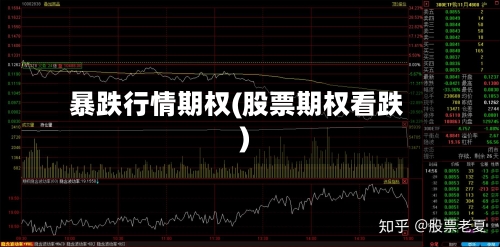 暴跌行情期权(股票期权看跌)-第2张图片