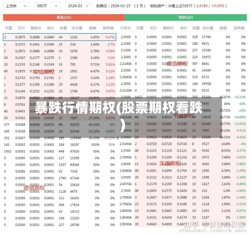 暴跌行情期权(股票期权看跌)-第3张图片