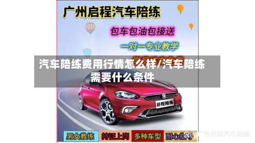 汽车陪练费用行情怎么样/汽车陪练需要什么条件