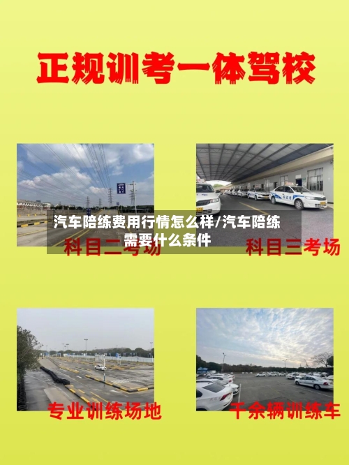 汽车陪练费用行情怎么样/汽车陪练需要什么条件-第2张图片