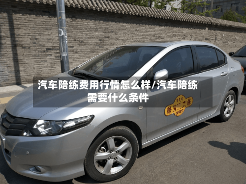 汽车陪练费用行情怎么样/汽车陪练需要什么条件-第3张图片