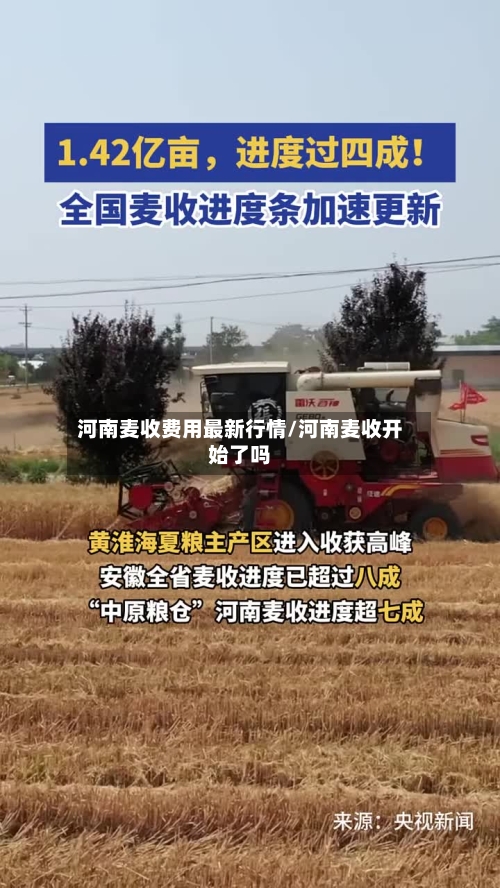 河南麦收费用最新行情/河南麦收开始了吗-第2张图片