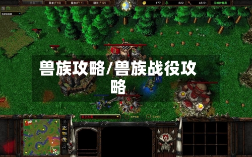 兽族攻略/兽族战役攻略