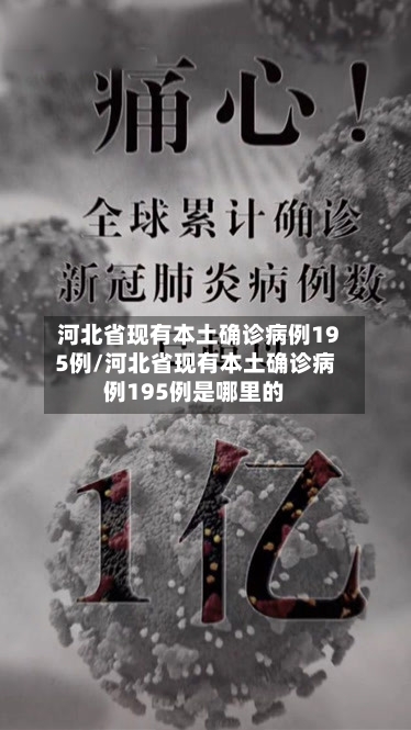 河北省现有本土确诊病例195例/河北省现有本土确诊病例195例是哪里的-第2张图片