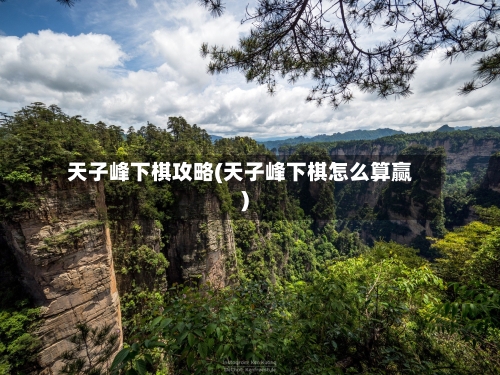 天子峰下棋攻略(天子峰下棋怎么算赢)