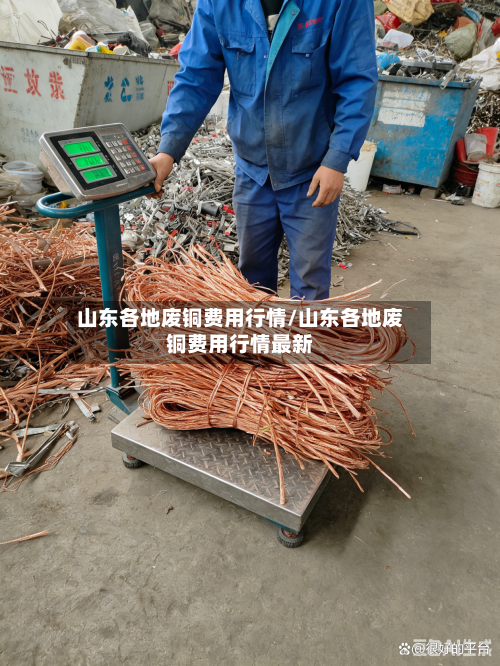 山东各地废铜费用行情/山东各地废铜费用行情最新-第2张图片