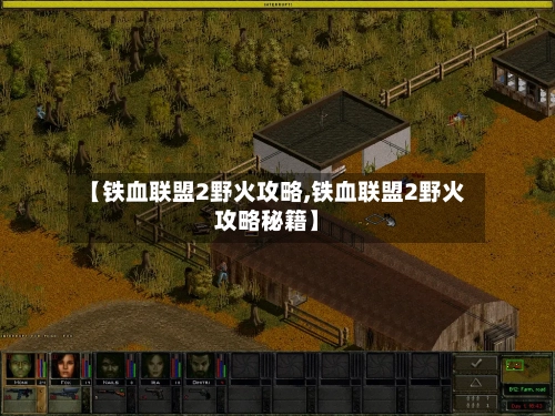 【铁血联盟2野火攻略,铁血联盟2野火攻略秘籍】-第2张图片