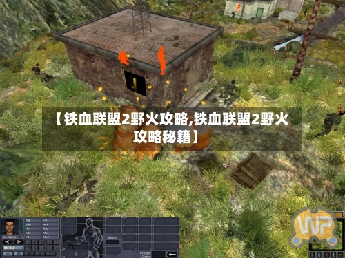 【铁血联盟2野火攻略,铁血联盟2野火攻略秘籍】-第3张图片