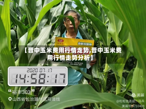 【晋中玉米费用行情走势,晋中玉米费用行情走势分析】-第3张图片
