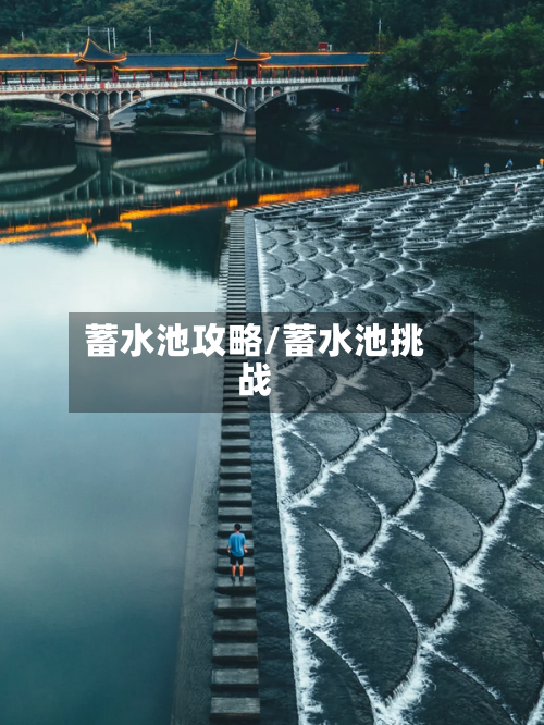 蓄水池攻略/蓄水池挑战