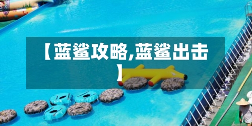 【蓝鲨攻略,蓝鲨出击】-第2张图片