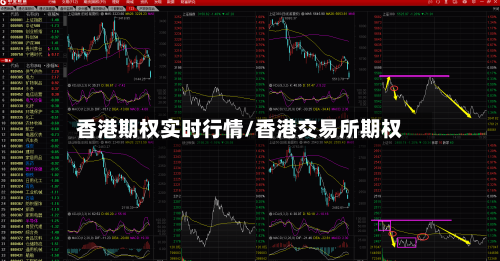 香港期权实时行情/香港交易所期权-第2张图片